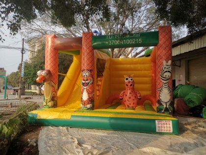 inflatable bouncer combo ani...