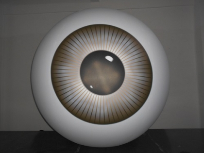 inflatable eyeball