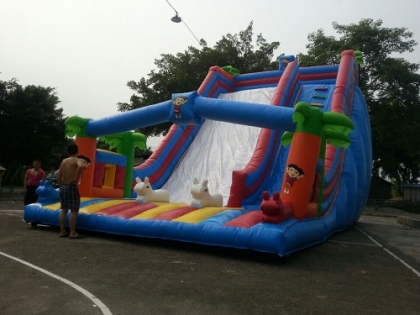 giant inflatable dry slide