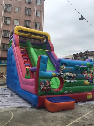inflatable mickey slide