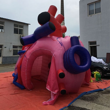 inflatable heart organ