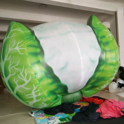 inflatable cabbage vegetable