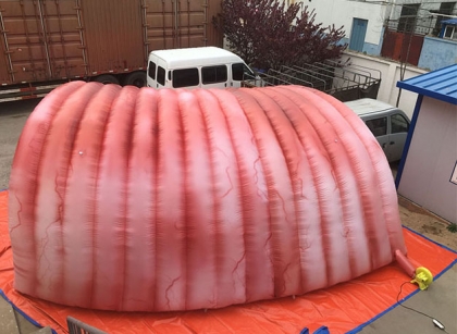 inflatable colon intestine t...