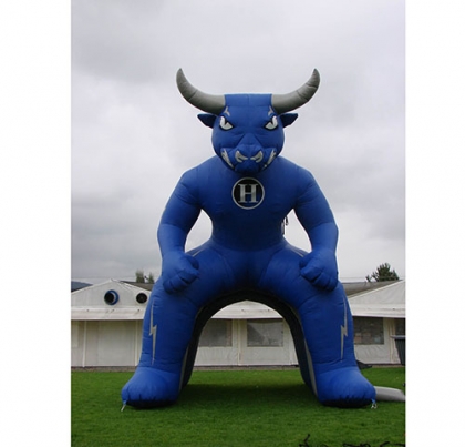 RAGIN BULLS inflatable footb...