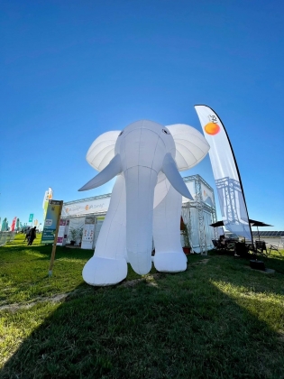 Advertising inflatable eleph...