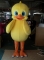 Custom chicken plush costume...