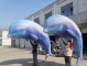 boyi inflatable dolphin ball...