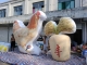 boyi inflatable chicken ball...