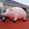 inflatable pig balloon , adv...