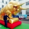 GIANT INFLATBLE GOLDEN BULL ...