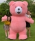 Inflatable Bear Plush Mascot...