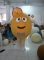 Chocolate bean mascot costum...