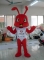Red Ant Animal Mascot Costum...