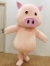 pink pig costume carnival pl...