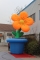 inflatable flower for decora...