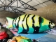 inflatable ocean fish balloo...