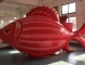 inflatable fish balloon adve...