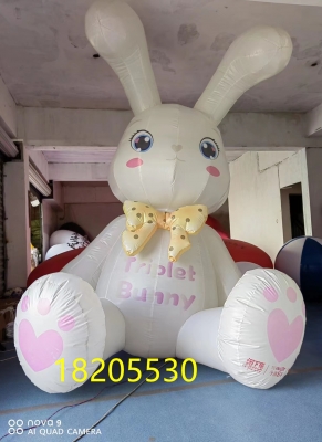 Giant customized inflatable ...