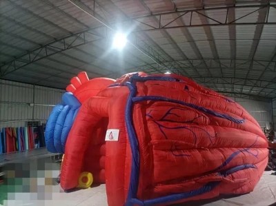 lifelike inflatable heart bo...