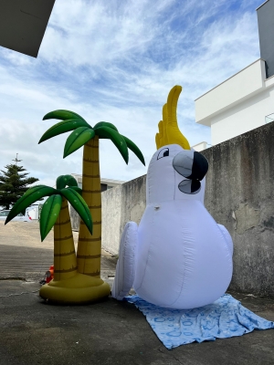 blow up inflatable parrot bi...