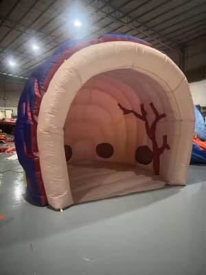inflatable brain tent inflat...