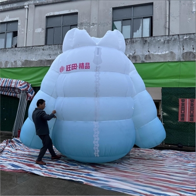 inflatable down jacket repli...