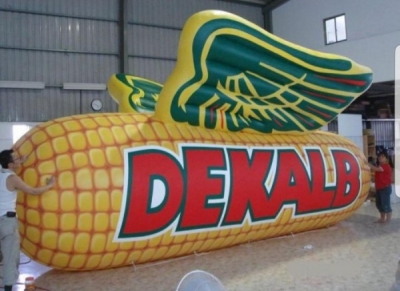 inflatable dekald  with wing...