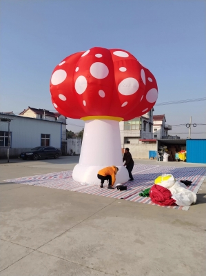 inflatable mushroom plant in...