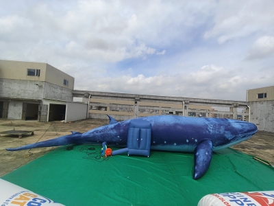 Custom Inflatable Whale Tent...